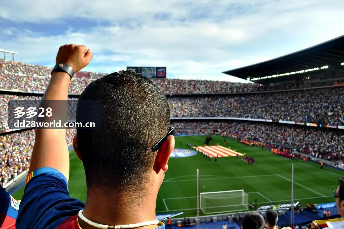 多多28品牌合作板块封面